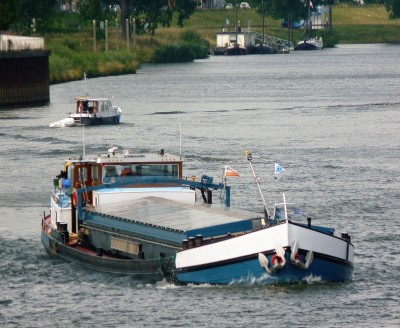 Fasaly-5-09-08-2017-sluis-Lith (2).JPG