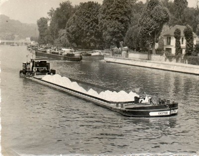 castor.jpg (183.39 Kio) Vu 2602 fois castor.jpg