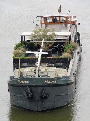 Florence-6-17-08-2017-sluis-Weurt (2).JPG (124.33 Kio) Vu 1330 fois Florence-6-17-08-2017-sluis-Weurt (2).JPG