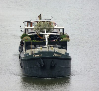 Florence-3-17-08-2017-sluis-Weurt (2).JPG (244.24 Kio) Vu 1330 fois Florence-3-17-08-2017-sluis-Weurt (2).JPG