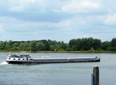 head-3-11-08-2017-Woudrichem (2).JPG