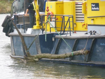 RPA-1-11-08-10-2017-Dordrecht (2).JPG