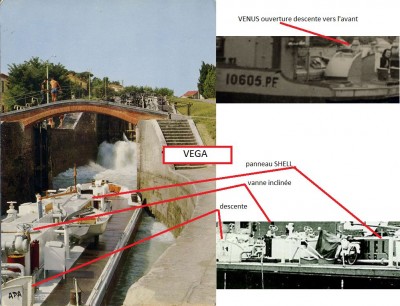 VEGA Vagus 05.jpg