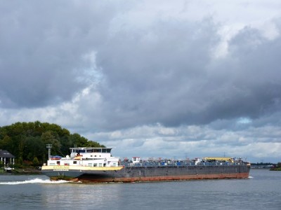 Citrine-2-08-10-2017-Dordrecht (2).JPG (95.9 Kio) Vu 1395 fois Citrine-2-08-10-2017-Dordrecht (2).JPG