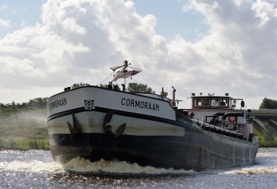 cormoraan-1-17-09-2010.jpg (120.88 Kio) Vu 1966 fois cormoraan-1-17-09-2010.jpg