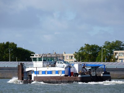 Daisy-Doardo-4-06-10-2017-Dordrecht (2).JPG (175.94 Kio) Vu 2488 fois Daisy-Doardo-4-06-10-2017-Dordrecht (2).JPG