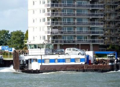 Daisy-Doardo-3-06-10-2017-Dordrecht (2).JPG (247.05 Kio) Vu 2488 fois Daisy-Doardo-3-06-10-2017-Dordrecht (2).JPG