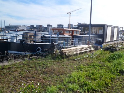 SAM_4870 (Copier).JPG (207.43 Kio) Vu 2507 fois SAM_4870 (Copier).JPG