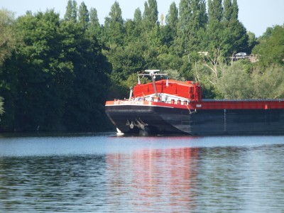 P6175895 (Copier).JPG (677.47 Kio) Vu 1745 fois P6175895 (Copier).JPG