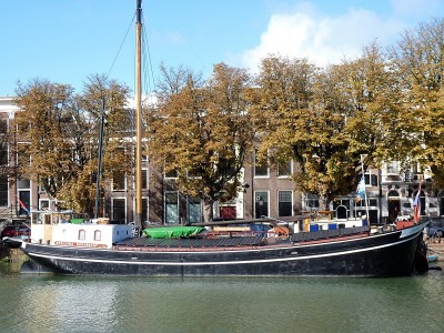 Apolonia-2-06-10-2017-Dordrecht (2).JPG (329.58 Kio) Vu 1923 fois Apolonia-2-06-10-2017-Dordrecht (2).JPG