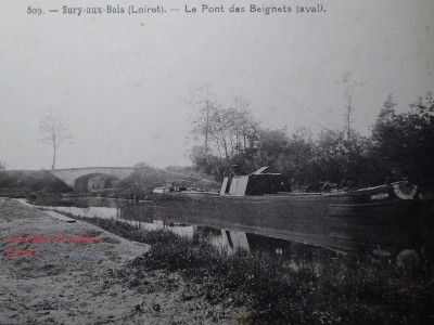 P1010641.JPG (169.78 Kio) Vu 3111 fois P1010641.JPG