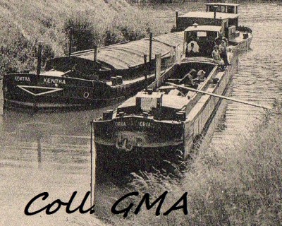 oria-st vit-extCP-cim.jpg (219.49 Kio) Vu 7440 fois oria-st vit-extCP-cim.jpg