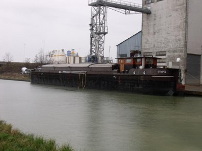 DSCF1146.JPG