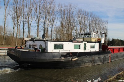 IMG_6325.JPG (162.04 Kio) Vu 1307 fois IMG_6325.JPG