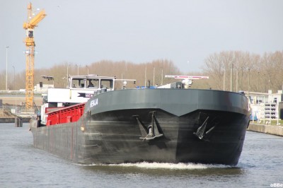 IMG_6320.JPG (99.12 Kio) Vu 1307 fois IMG_6320.JPG