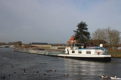 IMG_6327.JPG (106.92 Kio) Vu 1177 fois IMG_6327.JPG