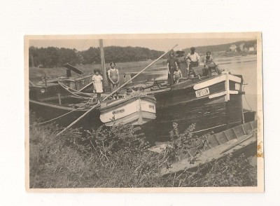 Papillon Dieu des mers Decize 1939.jpg