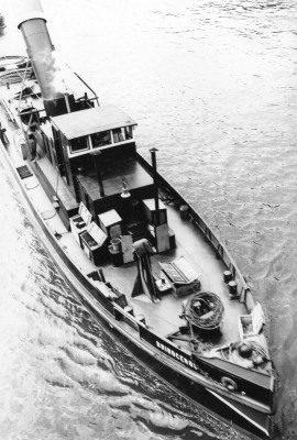 Remorqueur Rhinocéros.jpg (131.42 Kio) Vu 1775 fois Remorqueur Rhinocéros.jpg