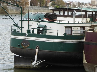 Bergamote Choisy le Roi 2 - Copie.JPG (198.38 Kio) Vu 3694 fois Bergamote Choisy le Roi 2 - Copie.JPG