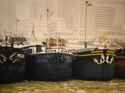 P1020605.JPG (142.47 Kio) Vu 2753 fois P1020605.JPG