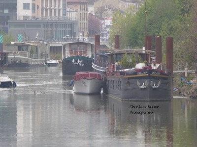 Coeur de Loup Largade bras d'Issy - Copie.JPG