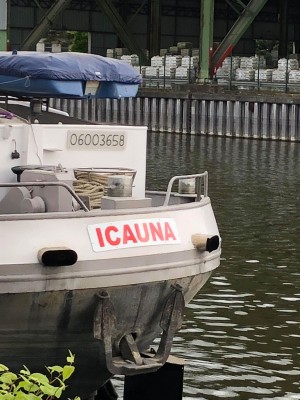 ICAUNA ar.jpg